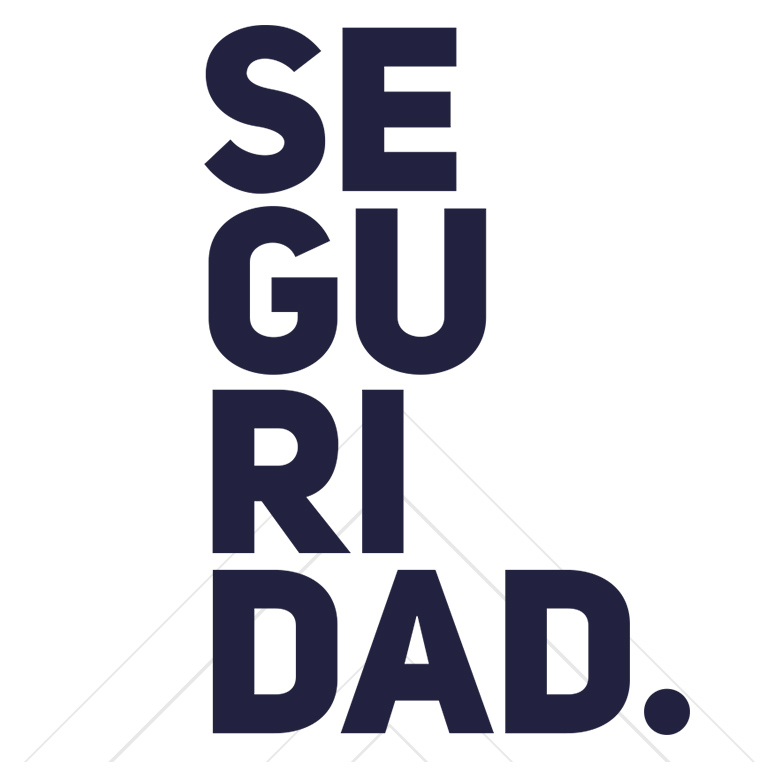 seguridad seguridad